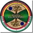 logo_PASZI